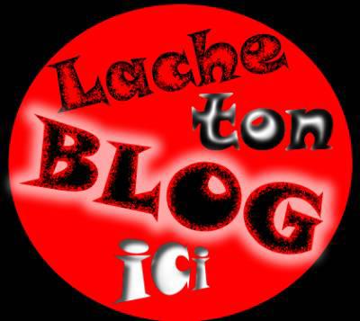 lache ton blog ici