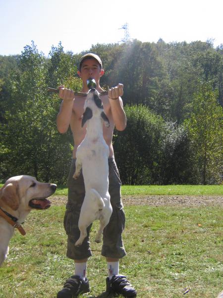 l'honne ki avé juste assé de force pour soulevé un chien !!!